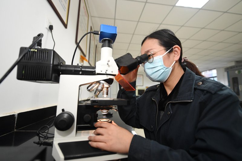 电商平台风起云涌 批发零售行业迎来新机遇